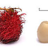 Rambutan